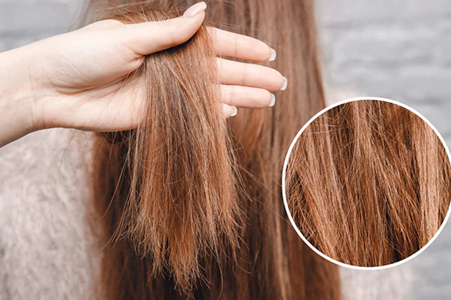 Split Ends - What Are They ?