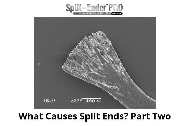The Causes of Split Ends - Part Two
